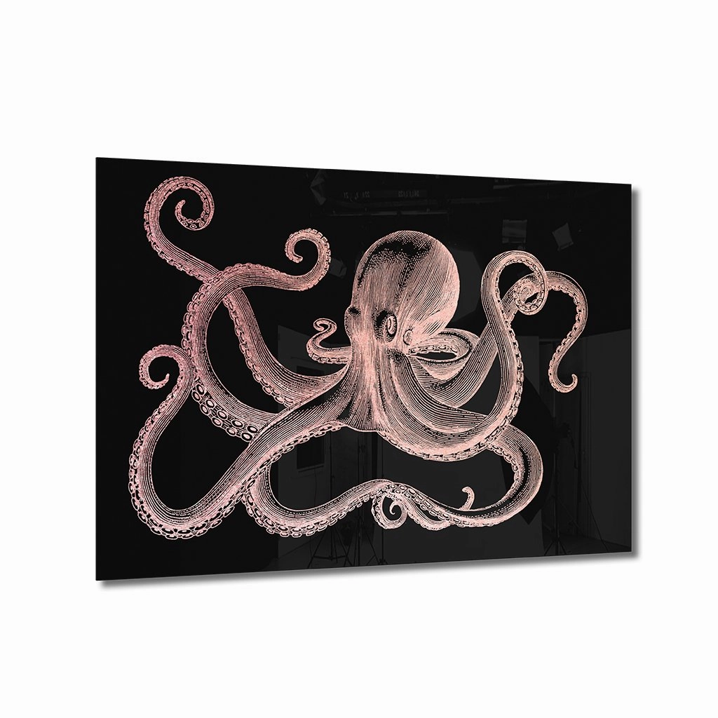 Octopus Ros on Acrylic framed mural artwork