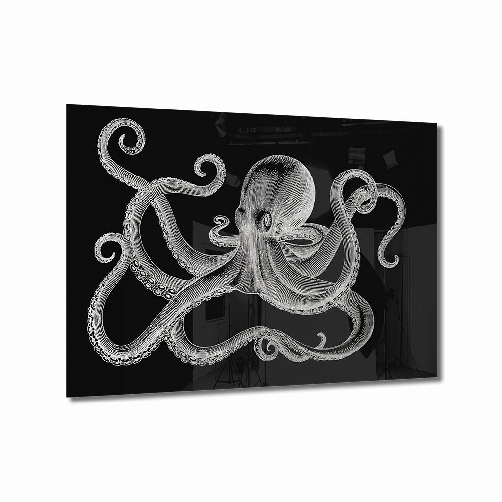 Octopus Silver on Acrylic framed mural artwork