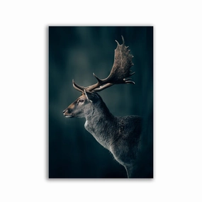 Oh my Deer by Philipp Pilz framed mural artwork