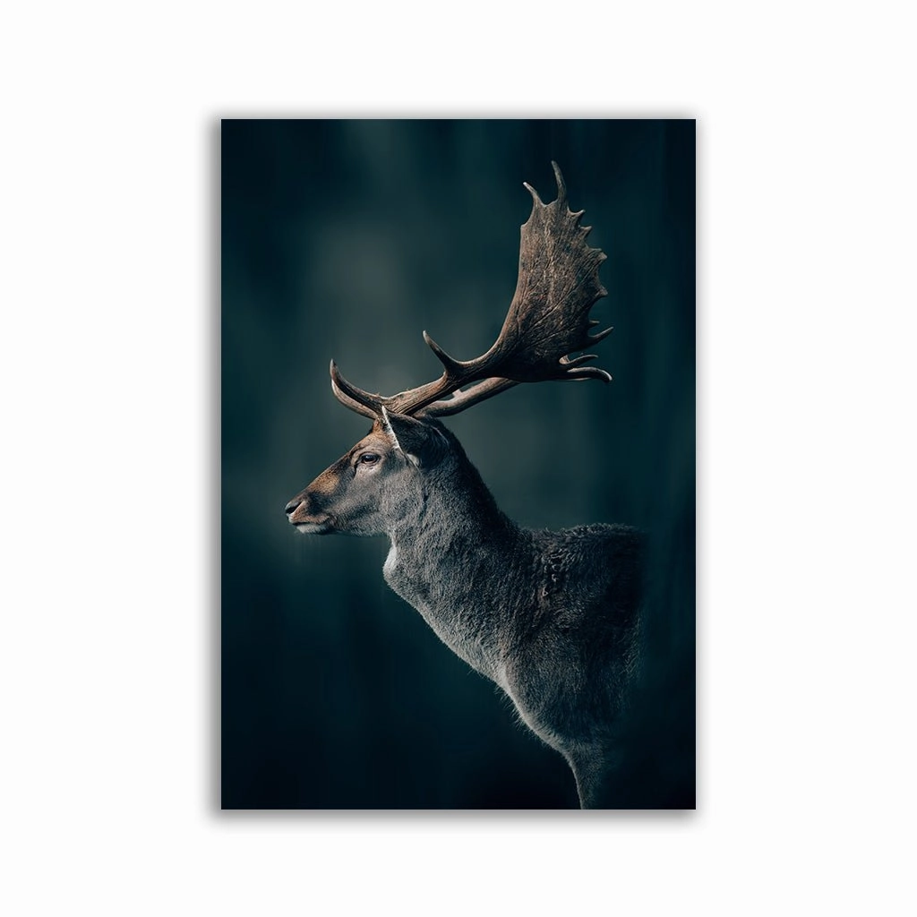 Oh my Deer by Philipp Pilz framed mural artwork