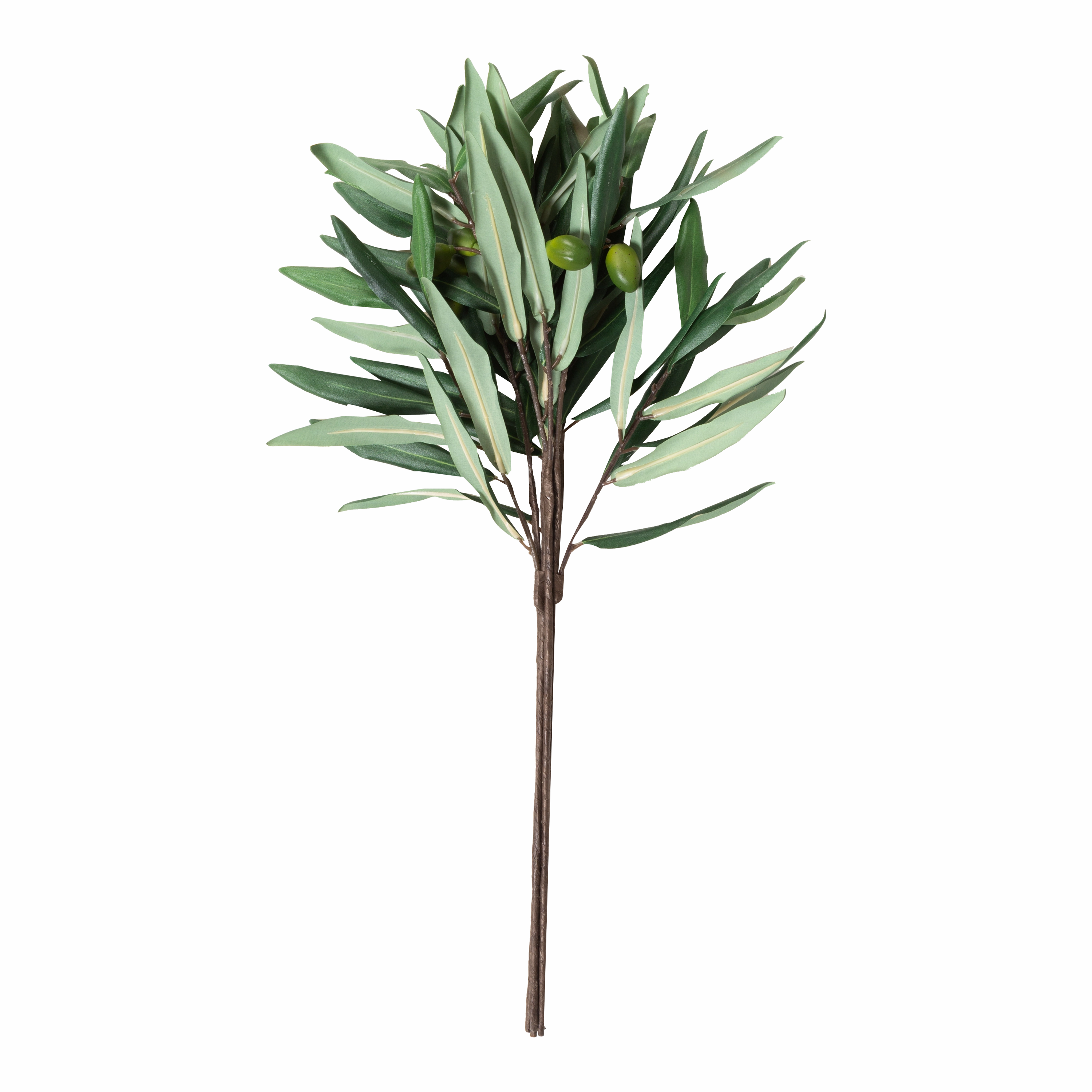 Olive Branch creative interior decor