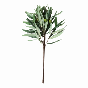 Olive Branch creative interior decor
