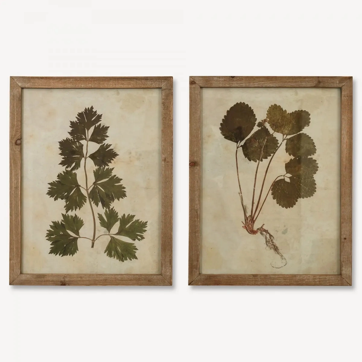 Ormington Set of Two Rustic Leaf Framed Prints 54cm