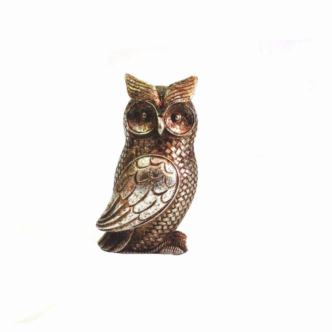 Otis Owl
