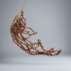 Painted Lady Vine decorative home ornament