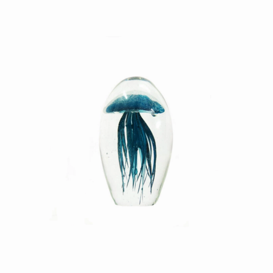 Palau Paperweight 12cm