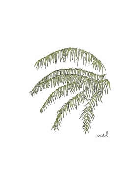 Palm Fronds 8x10 Print minimalist art object  