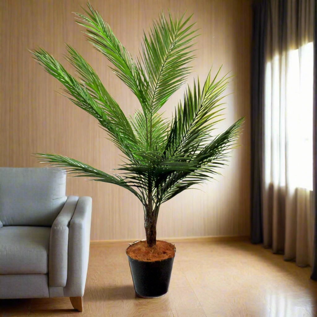 Palm Pinnaculata