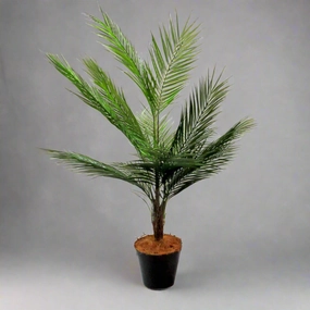Palm Pinnaculata decorative home ornament