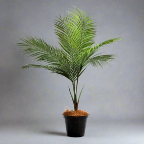 Palmalicious decorative home ornament