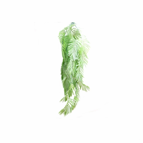 Palmfern atlantis