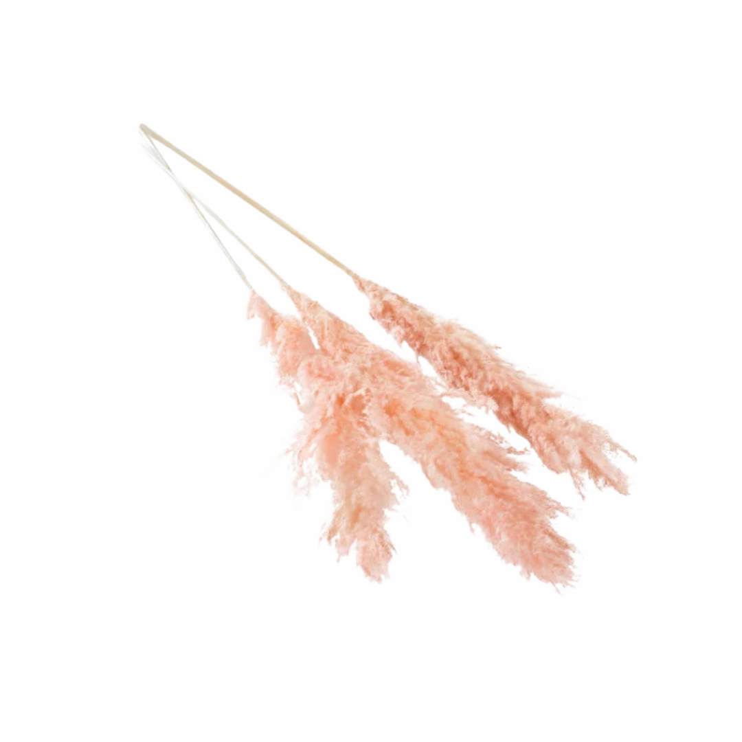Pampas Grass minimalist art object  