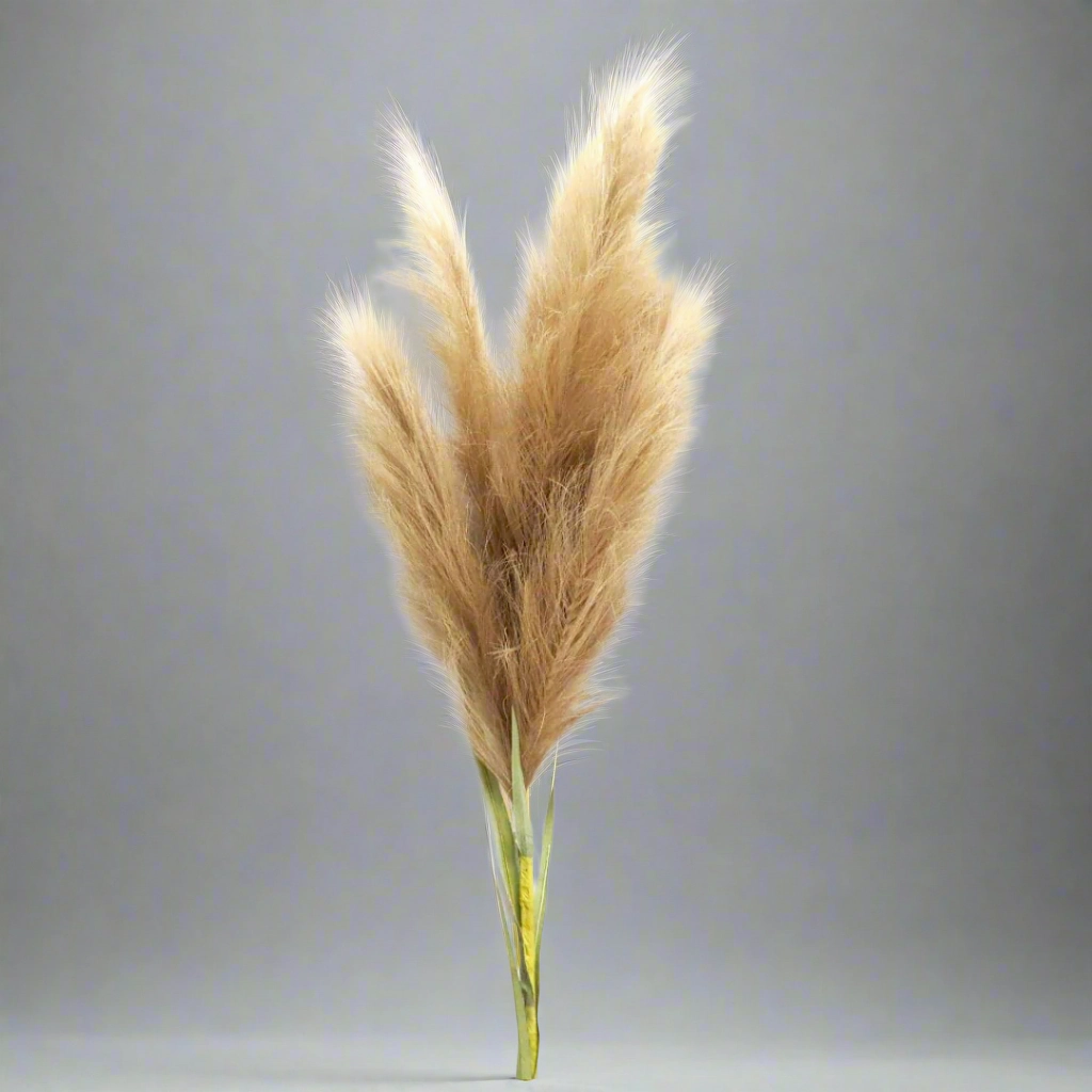 Pampas Mega decorative home ornament