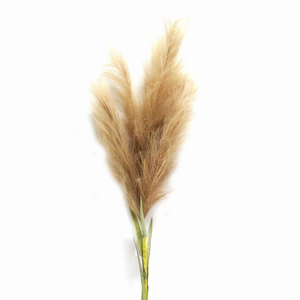 Pampas Mega