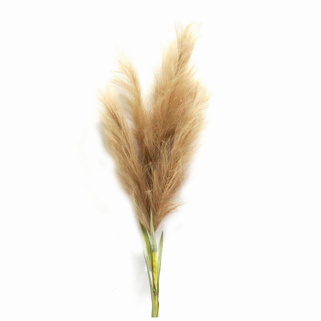 Pampas Mega