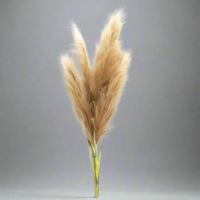 Pampas Mega decorative home ornament
