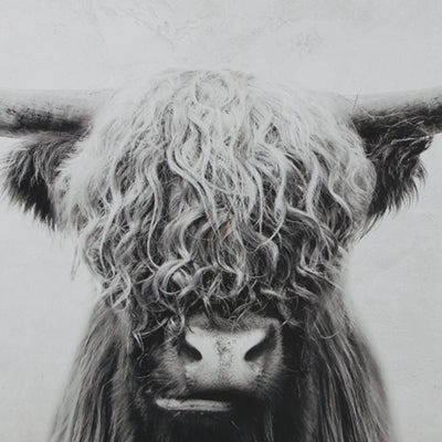 Pancho Wall Art
