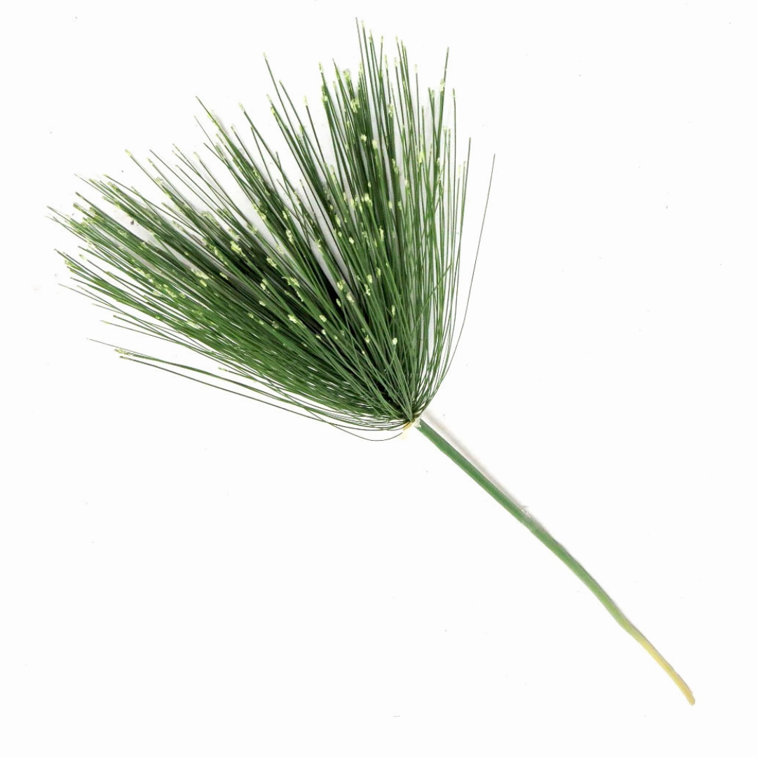Papyrus Stem