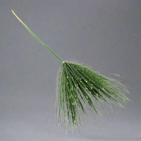 Papyrus Stem decorative home ornament