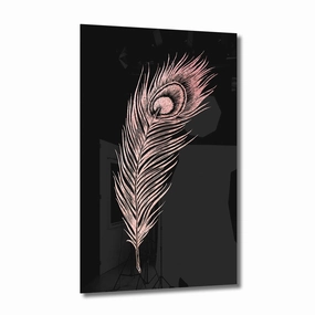 Peacock Feather Ros on Acrylic framed mural artwork