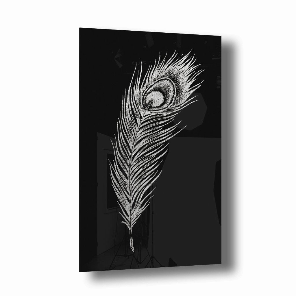 Peacock Feather Silver on Acrylic framed mural artwork