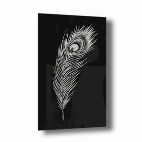 Peacock Feather Silver on Acrylic framed mural artwork