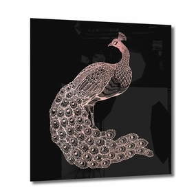 Peacock Ros on Acrylic framed mural artwork