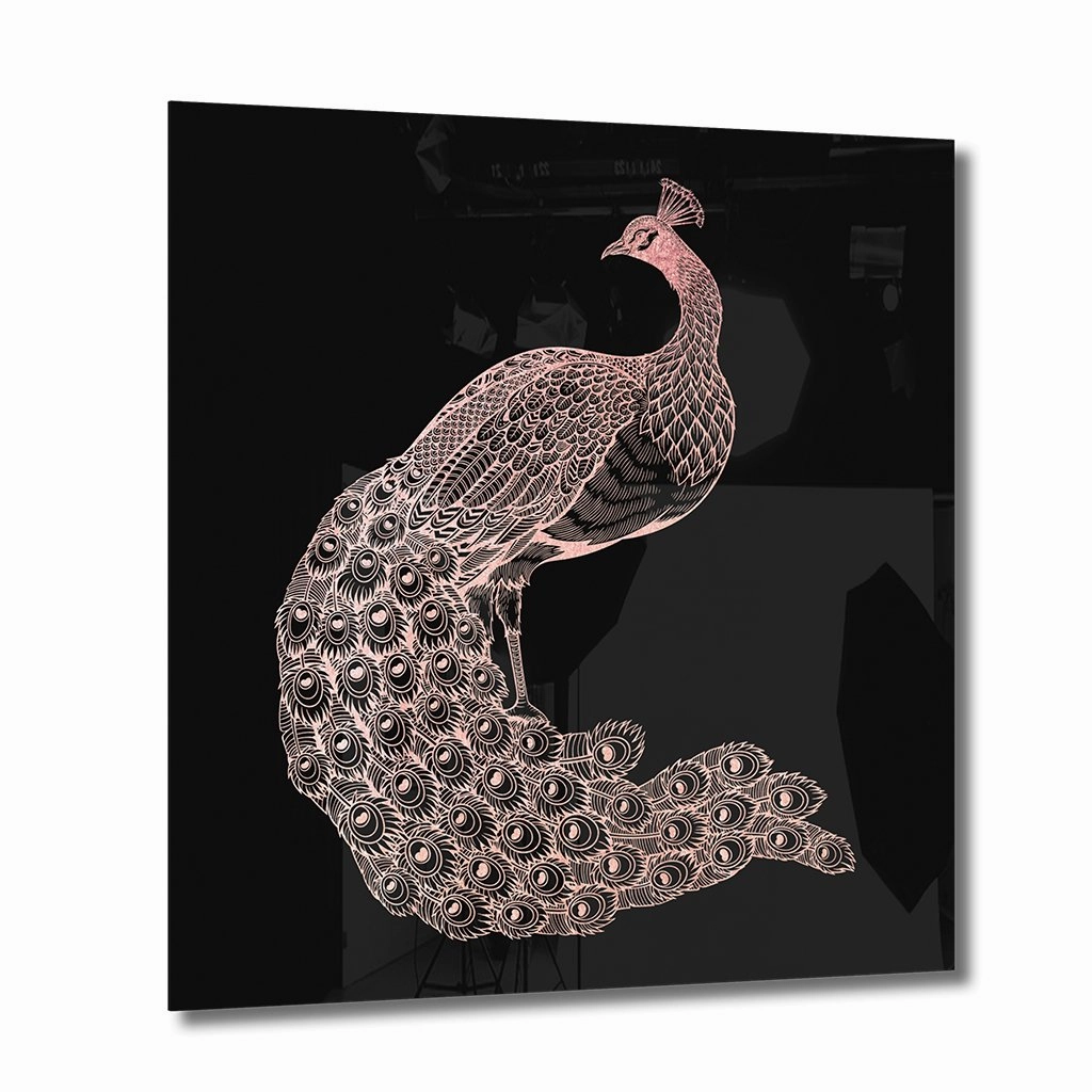 Peacock Ros on Acrylic framed mural artwork