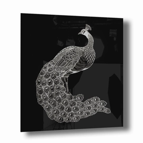 Peacock Silver on Acrylic framed mural artwork