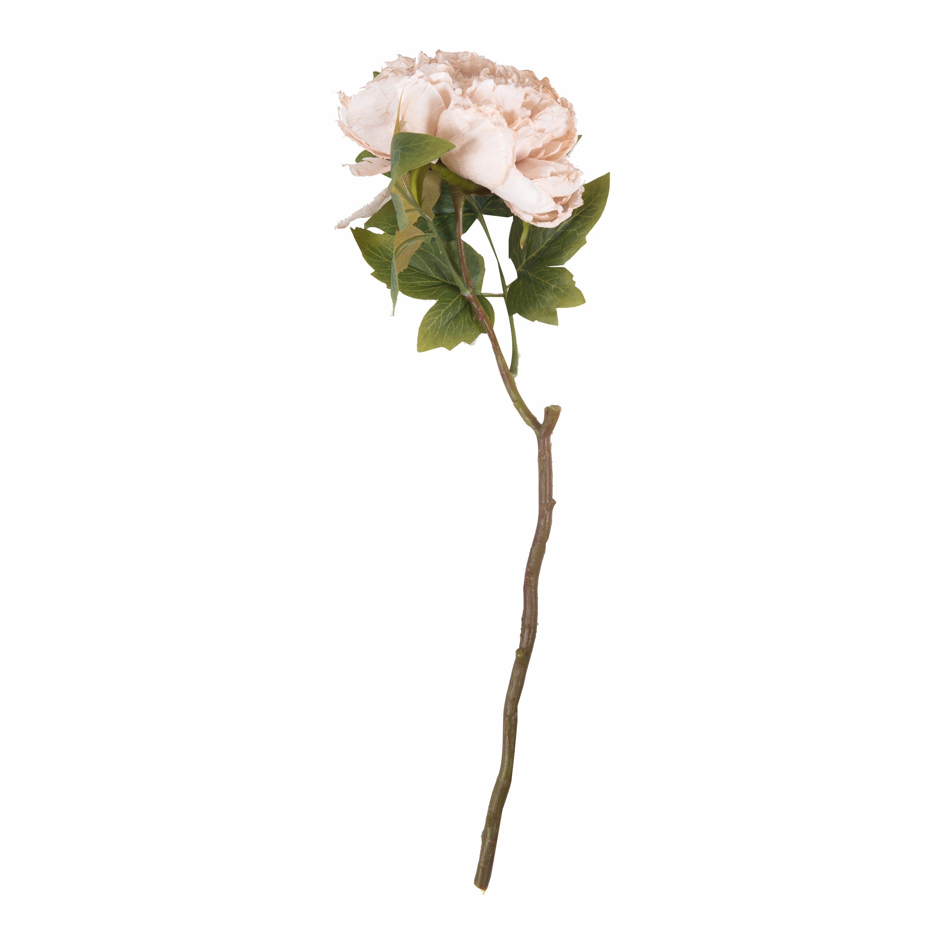 Peony Evening Dew Stem creative interior decor