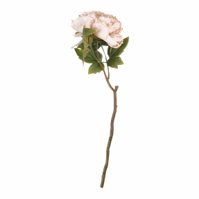 Peony Evening Dew Stem creative interior decor