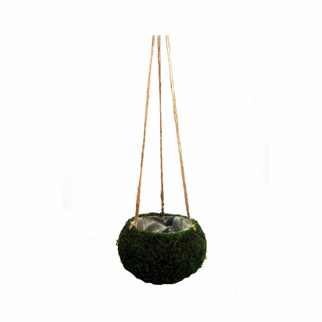 Petitmoss Hanging Basket