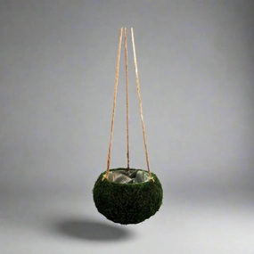 Petitmoss Hanging Basket decorative home ornament