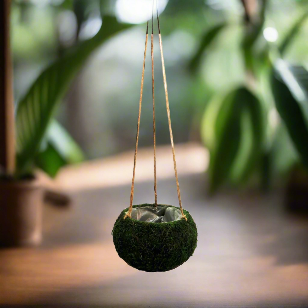 Petitmoss Hanging Basket