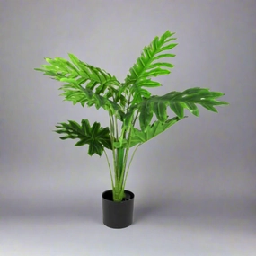 Philodendron Heartthrob decorative home ornament