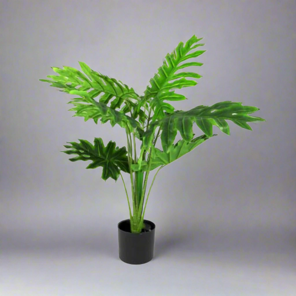 Philodendron Heartthrob decorative home ornament