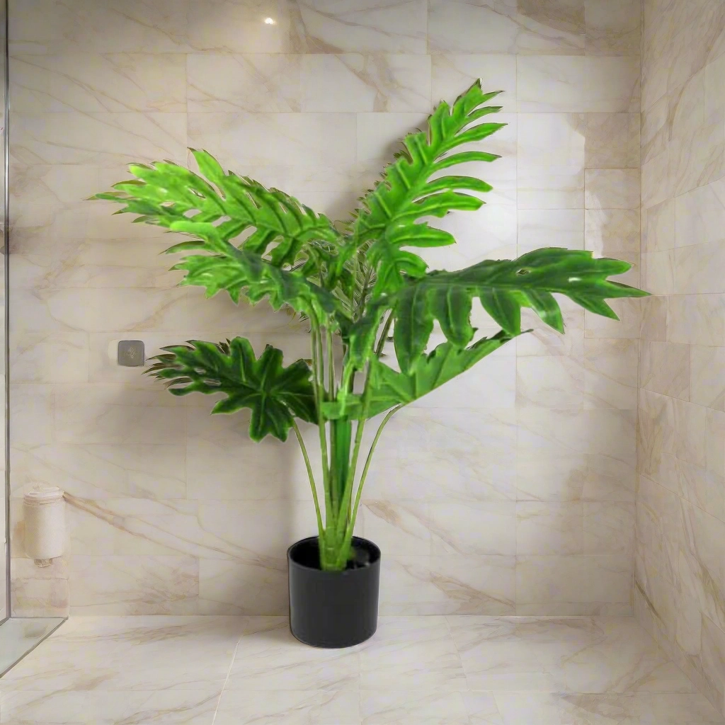 Philodendron Heartthrob