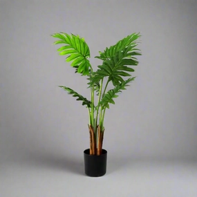 Philodendron Maywood decorative home ornament