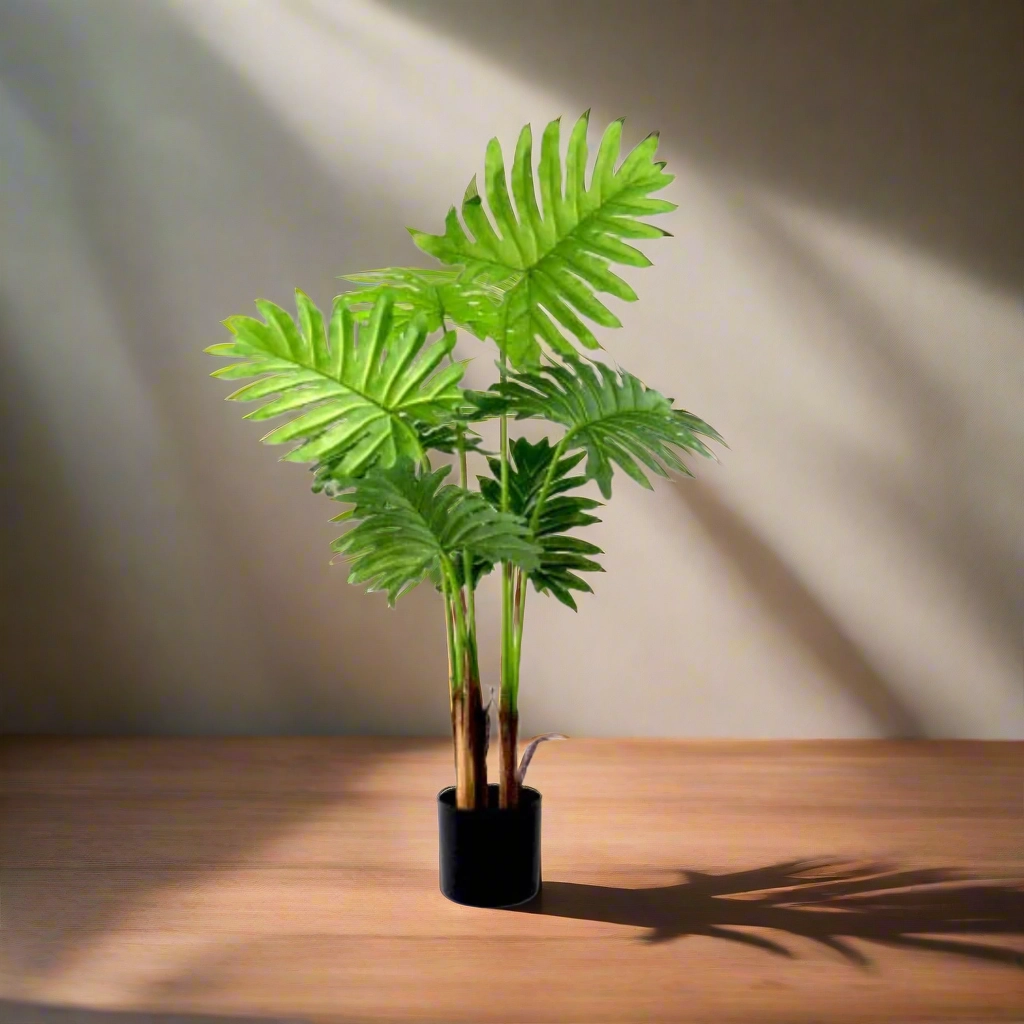 Philodendron Speciality