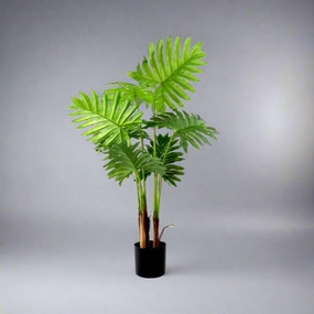 Philodendron Speciality decorative home ornament