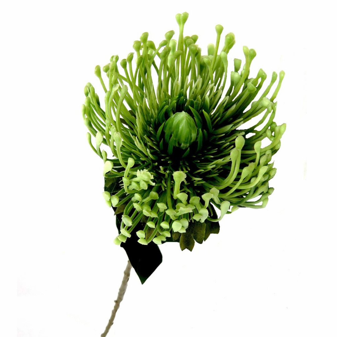 Pincushion Greenfingers