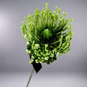 Pincushion Greenfingers decorative home ornament