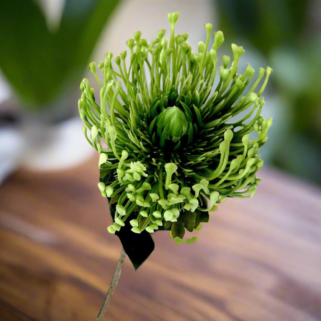 Pincushion Greenfingers
