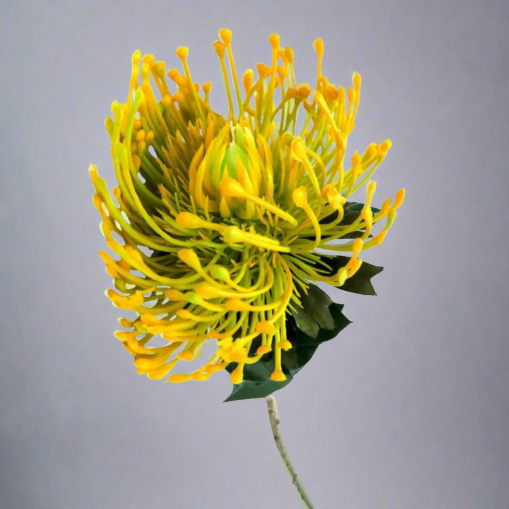 Pincushion Sunlight decorative home ornament
