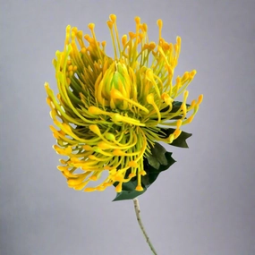 Pincushion Sunlight decorative home ornament