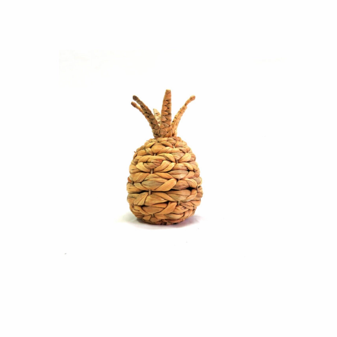Pineapple La Palma