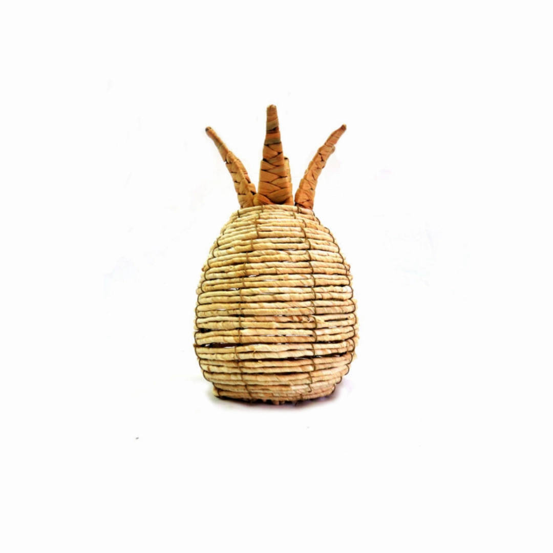 Pineapple Panama