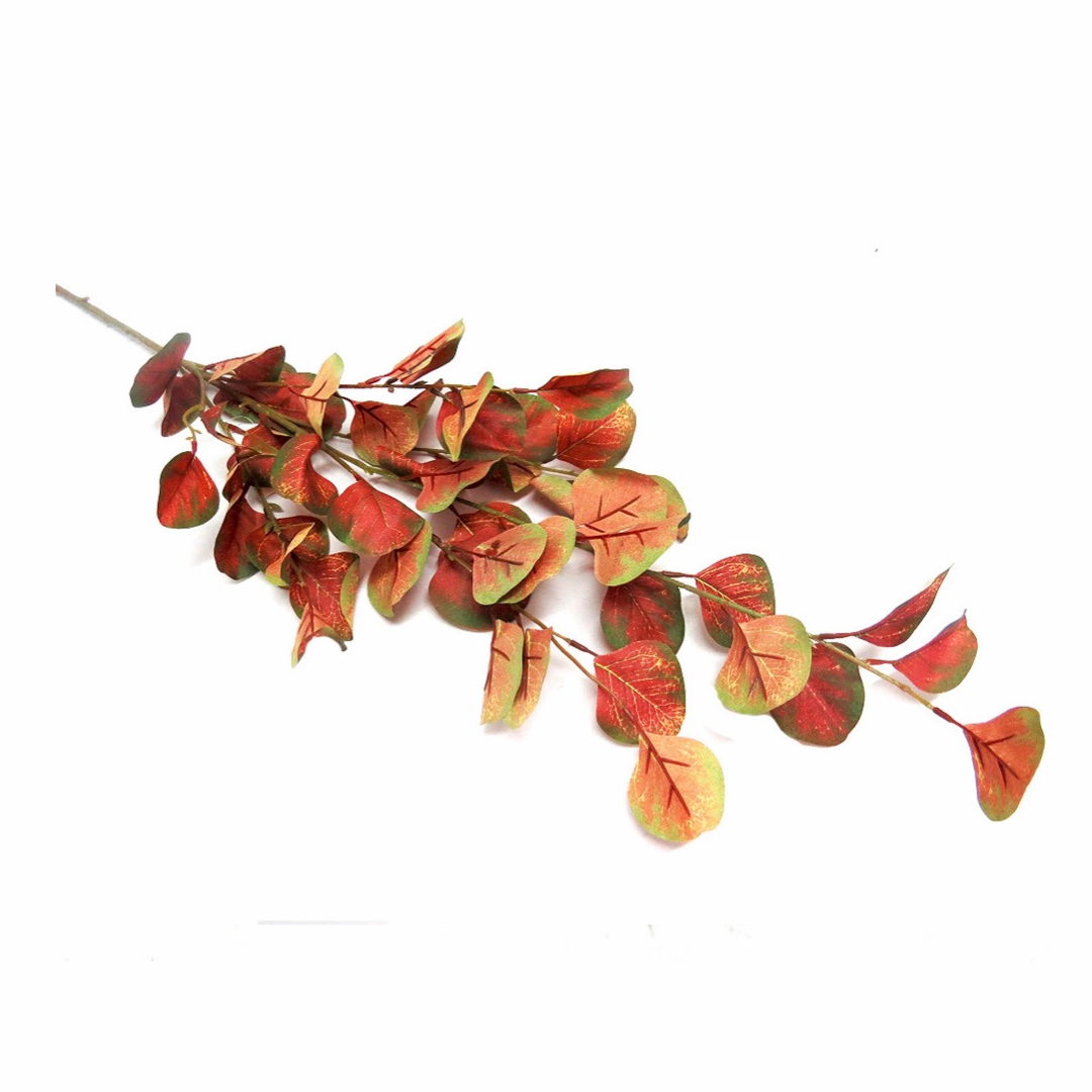 Pink Eucalyptus Leaves