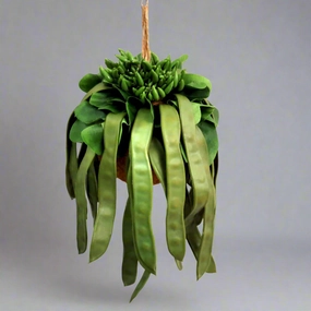Pod Plant Ball decorative home ornament