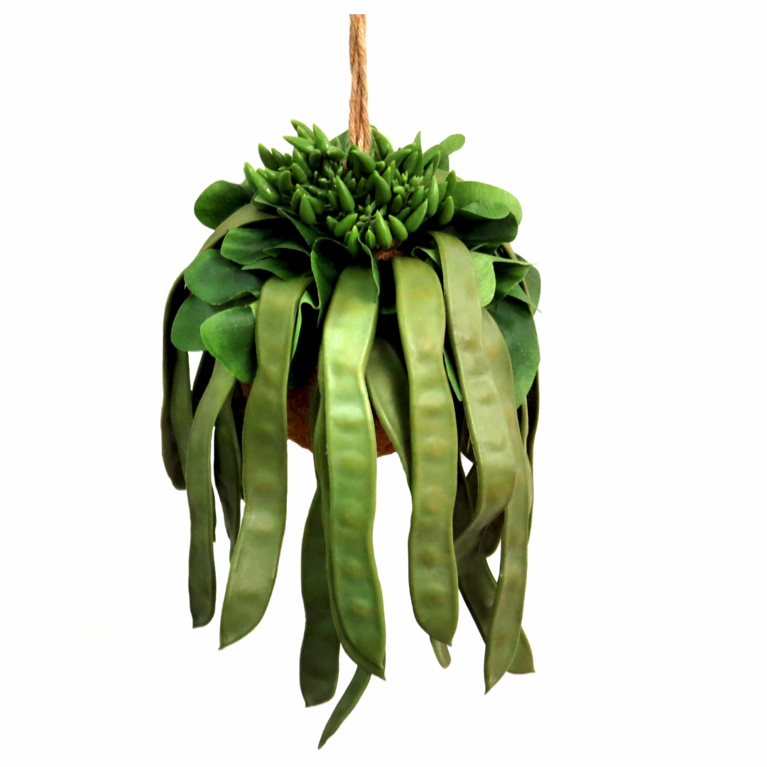 Pod Plant Ball